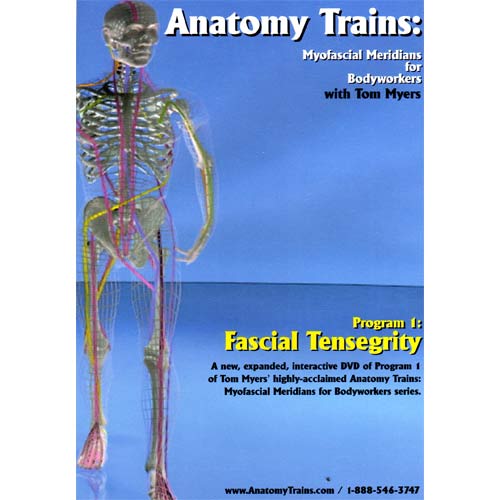 Anatomy Trains Vol 1: Fascial Tensegrity DVD Product Thumbnail