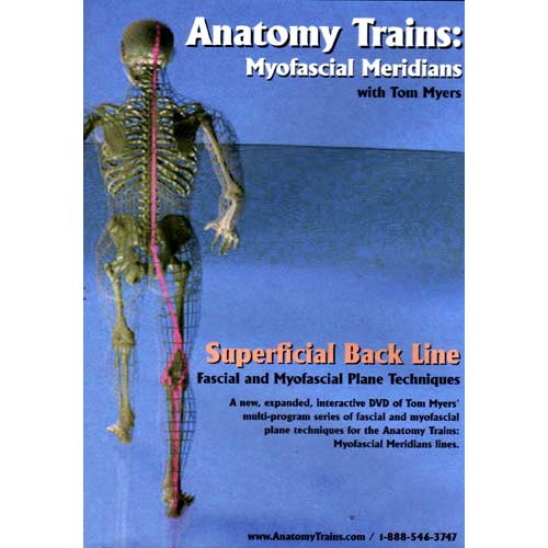 Anatomy Trains Vol 4: Superficial Back Line DVD Product Thumbnail