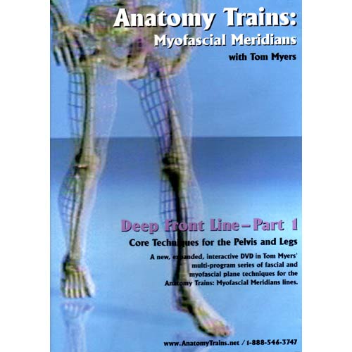Anatomy Trains Vol 8: Deep Front Line – Lower Portion DVD Product Thumbnail