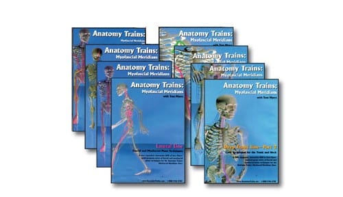 Anatomy Trains 8 DVD Set (Vols. 3 to 10 – Technique) Product Thumbnail