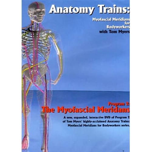 Anatomy Trains Vol 2: Myofascial Meridians DVD Product Thumbnail
