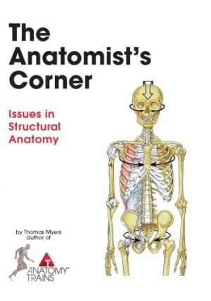 Anatomist’s Corner *** Now in Colour *** Product Thumbnail