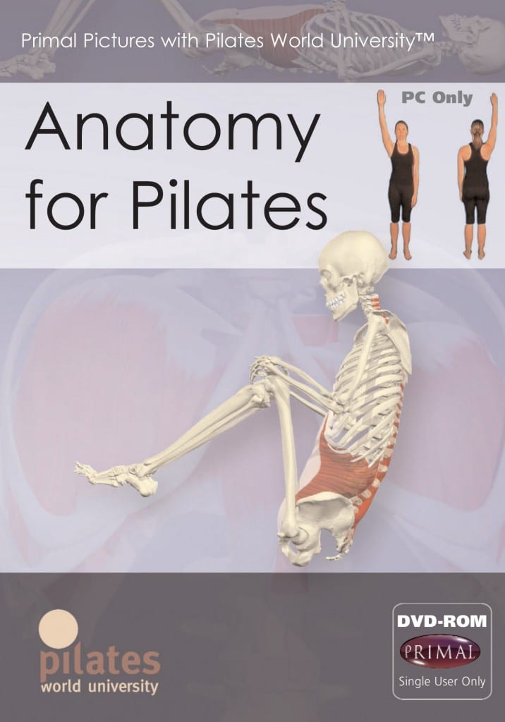Anatomy for Pilates DVD-ROM Product Thumbnail