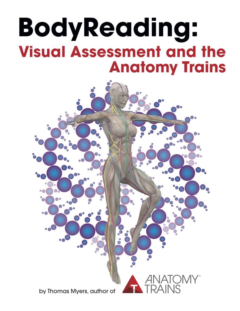 BodyReading: Visual Assessment and the Anatomy Trains by Tom Myers Product Thumbnail