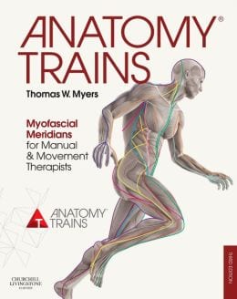Anatomy Trains 3rd Edition Image