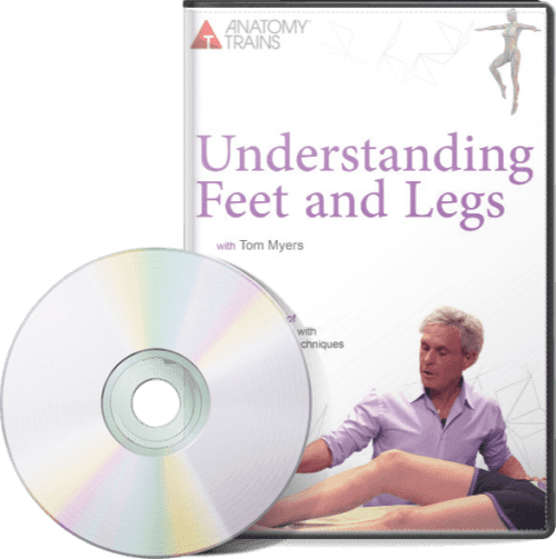 Understanding Feet & Legs (2 DVD Set) Image