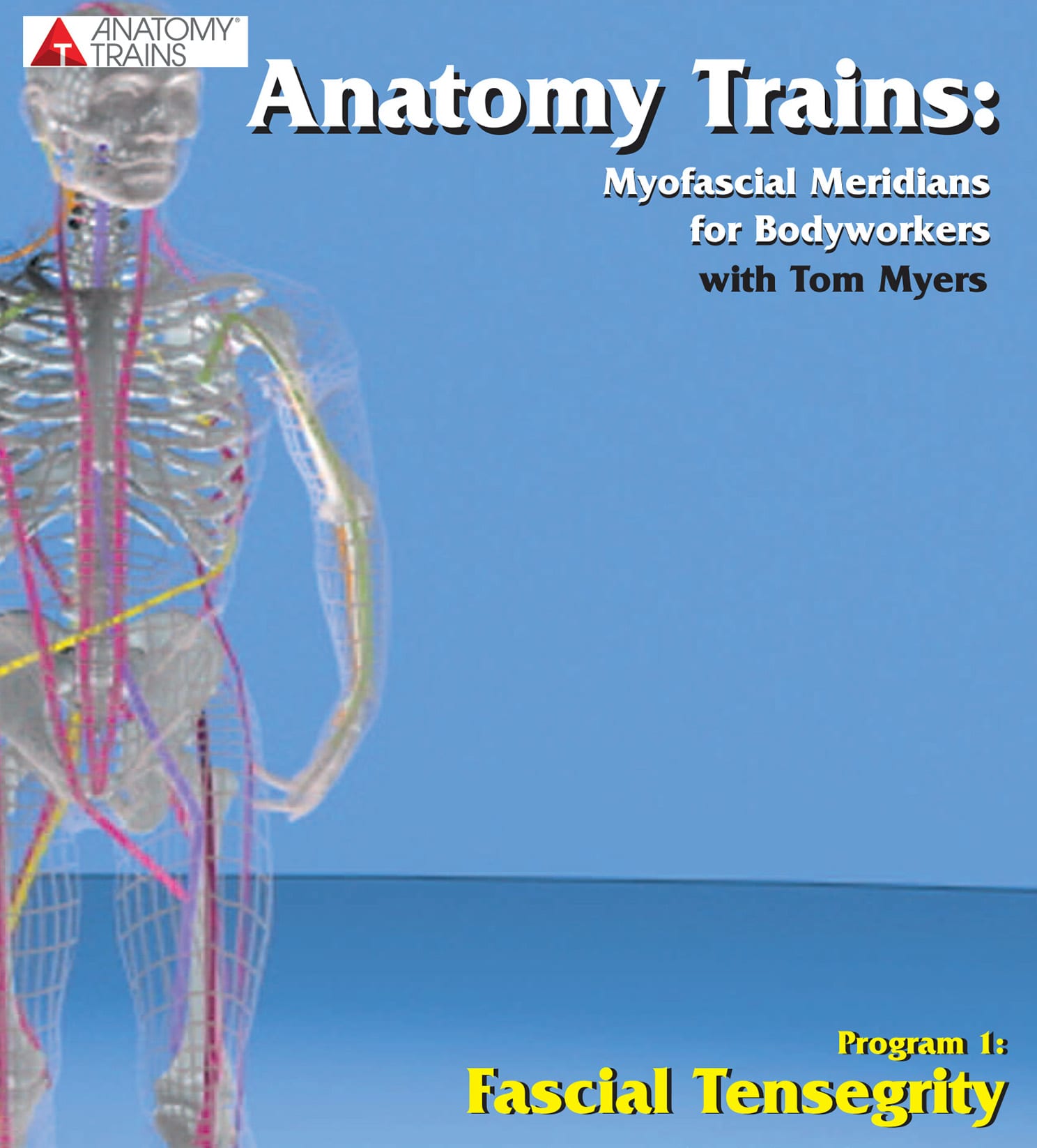 Anatomy Trains: Fascial Tensegrity Product Thumbnail