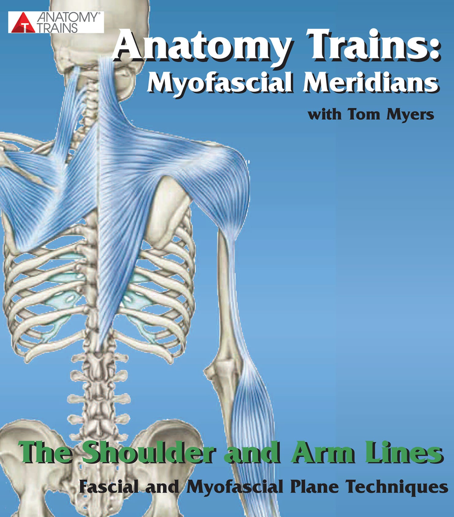 Technique Series: The Shoulder & Arm Lines Product Thumbnail