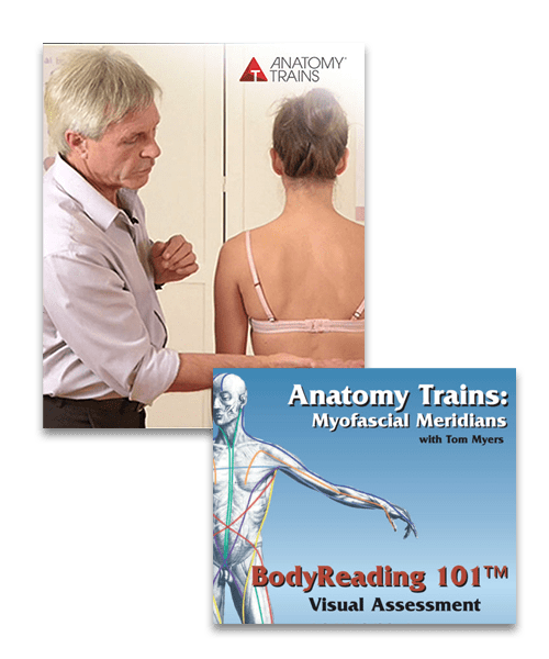 BodyReading: Visual Assessment of the Anatomy Trains Video Series & BodyReading 101 Video Product Thumbnail