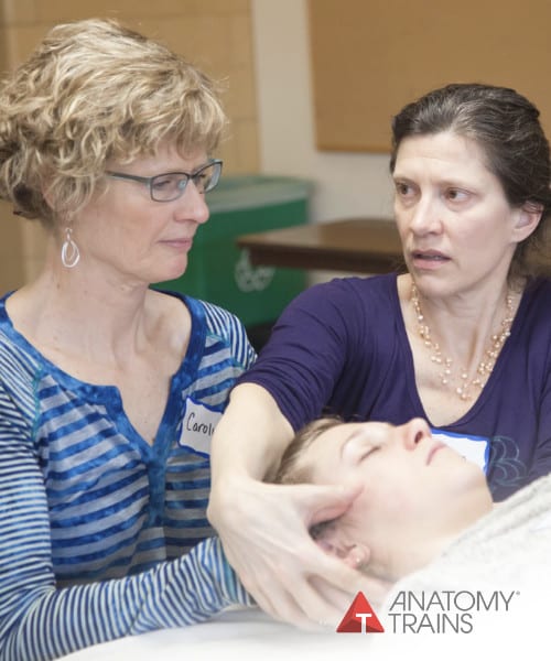 Introduction to Craniosacral Therapy with Lauren Christman Product Thumbnail