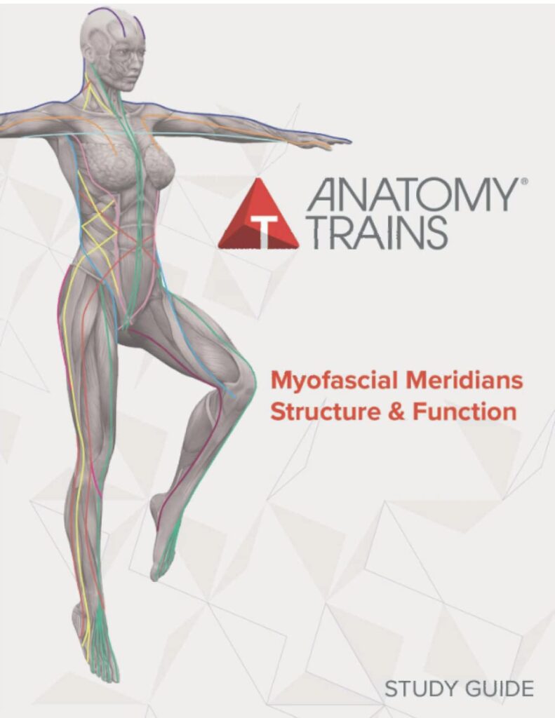 Anatomy Trains Myofascial Meridians Structure & Function Study Guide Product Thumbnail